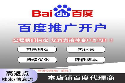 百度竞价推广运营实战技巧与经典案例剖析